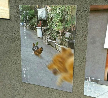 o0480043413687196471