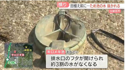 o0800044815127003646