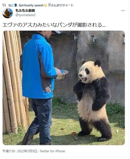 rfguyjkersdfjgkighknkjkjn