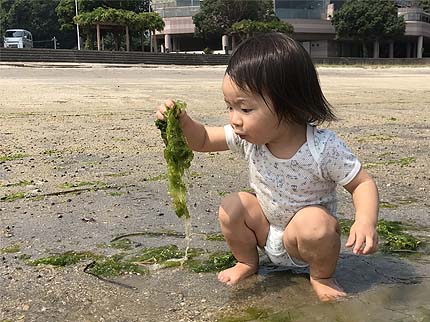 2018_0723久々のアーシング1