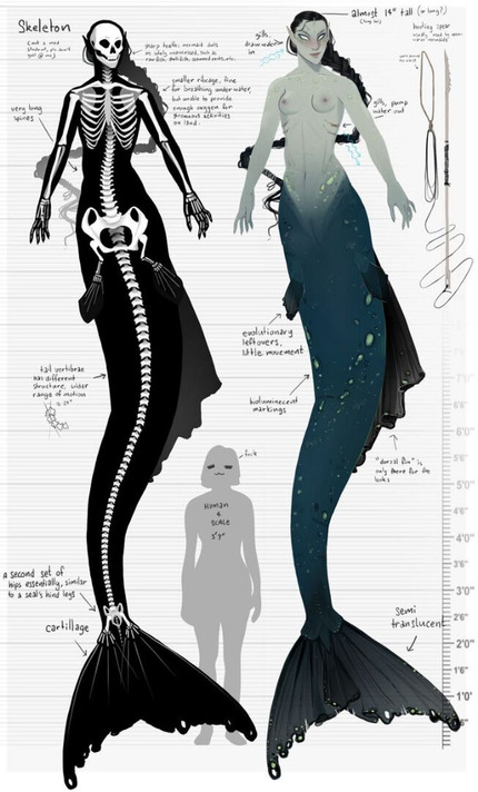 o0652108015108002915