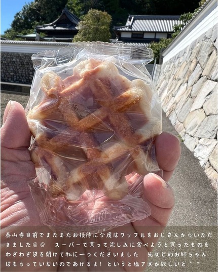 19日目⑦