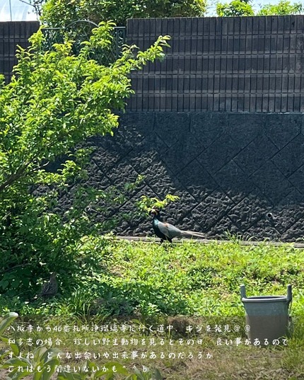 24日目⑤