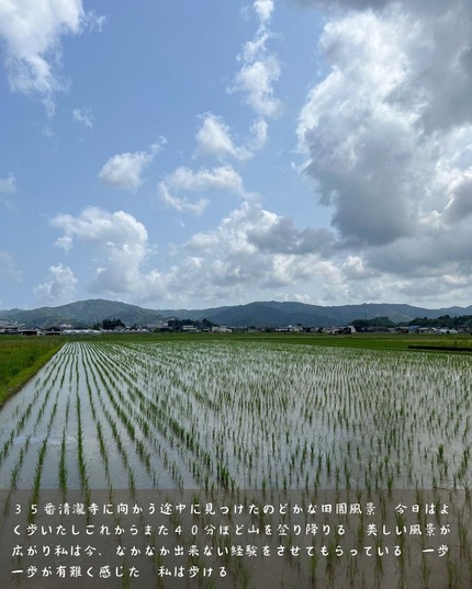 四国お遍路29日目⑥