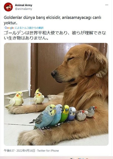 serdfguhlknuygiodrtyuj