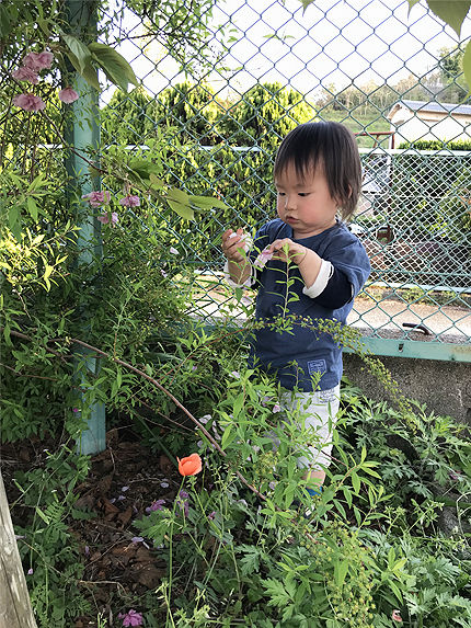 2018_0420ツキのお散歩