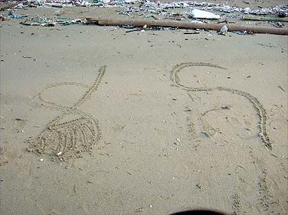 £Õ£Æ£Ï¥³¥ó¥¿¥¯¥È®