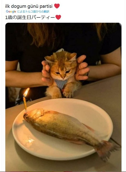 uhiojfdjoildfoijkg;foijkfg