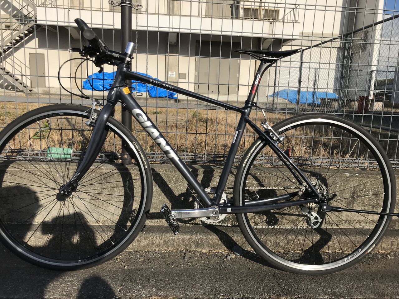 軽さは Giant Escape R3 クロスバイク カスタム 正義 ショボイブログ 軽さは Giant Escape R3 クロスバイク カスタム 正義 ショボイブログ
