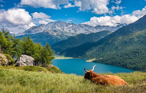lake-5534341__480