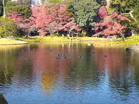 小石川後楽園__人型に見える