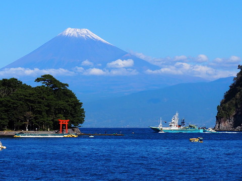 富士山