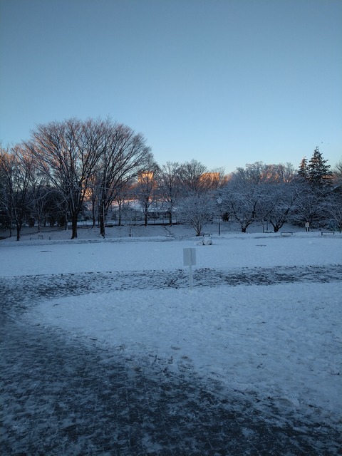 たまプラーザ 雪の公園