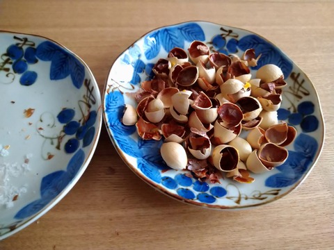 銀杏を美味しく頂きました