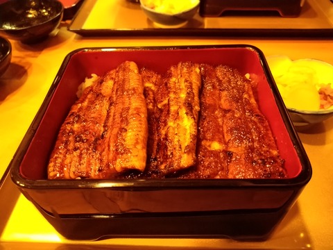 鰻重 1尾半