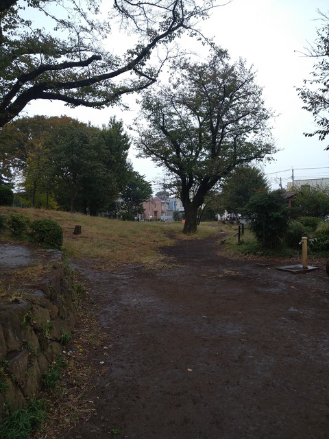 いがいとデカい猫じゃらし公園