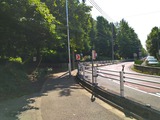 道沿いに行くか?