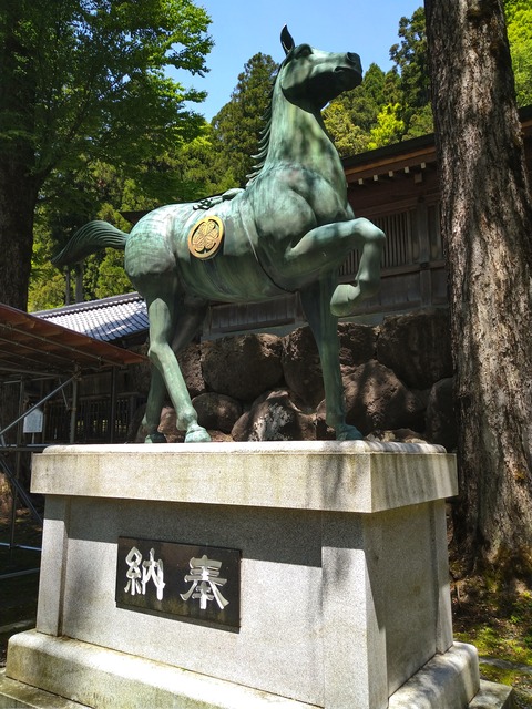 葵の御紋馬