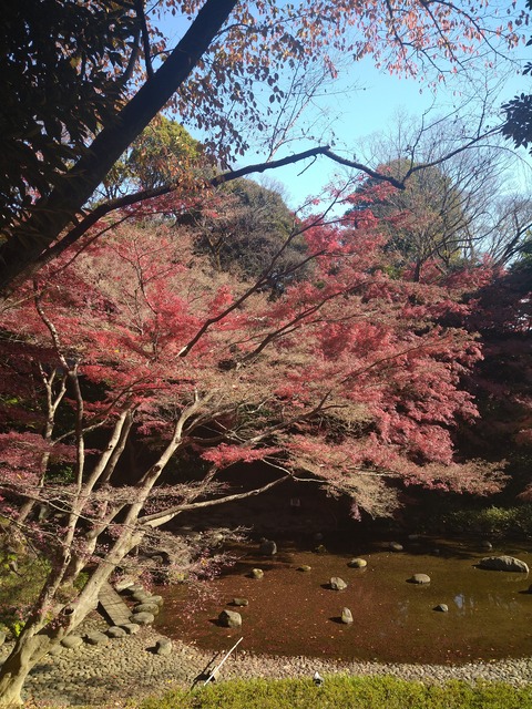 小石川後楽園_1243