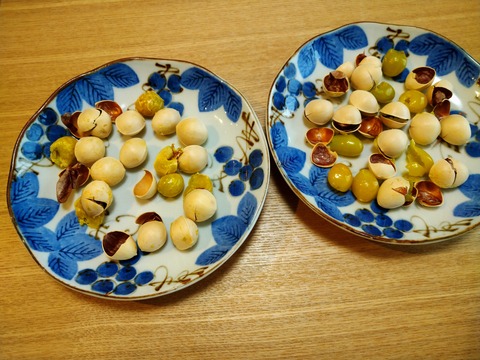 まだ割れていない銀杏があるが乾燥してるっぽいのでこれで食べる