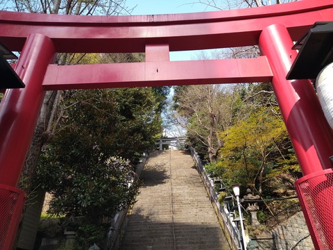 大鳥居から出世の階段を写す