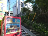 山を登か?