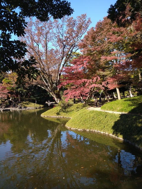 小石川後楽園_1240