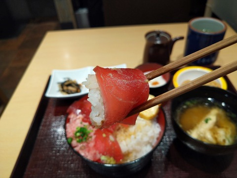 鉄火丼