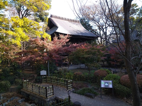 九品仏_1206_本堂からの山門