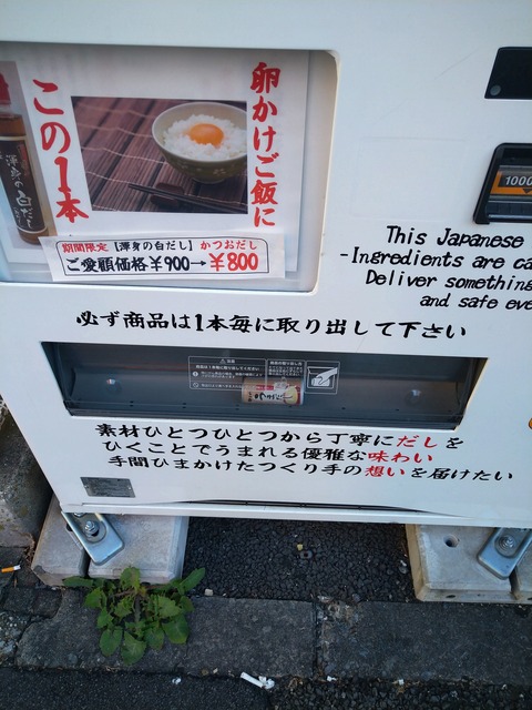 思わず買ってしまった