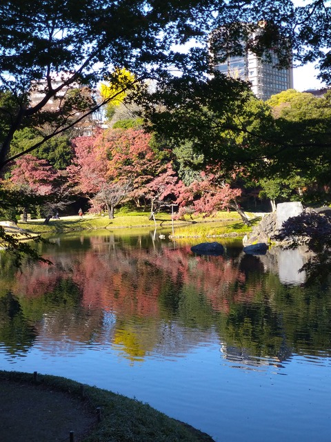 小石川後楽園_1249