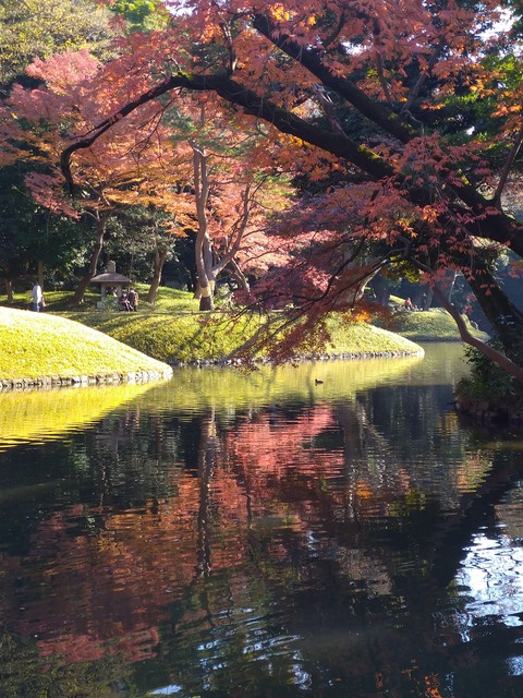 小石川後楽園_1263