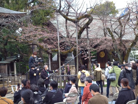 桜の標本木に人が集まっていた