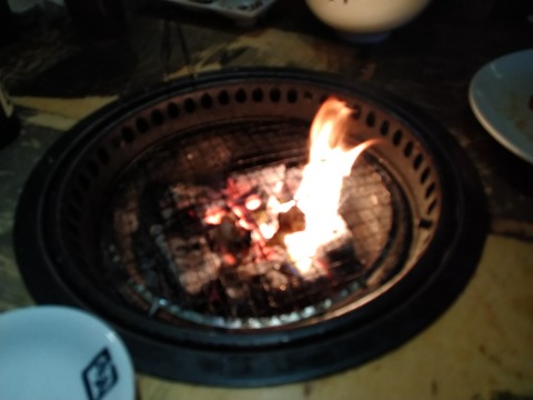 ホルモン