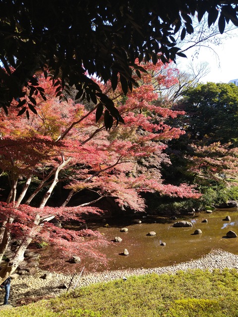 小石川後楽園_1177