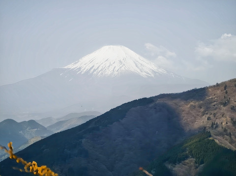 富士山_75mm