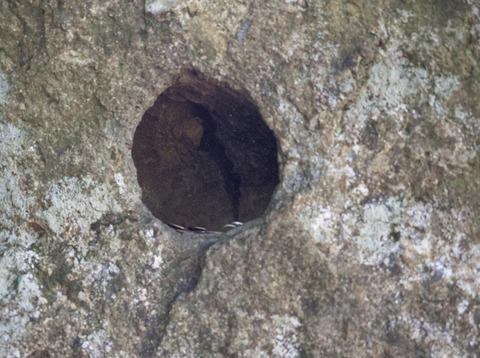 天狗の鼻付き岩