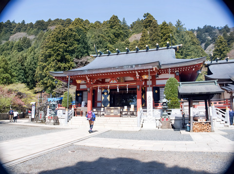 阿夫利神社下社