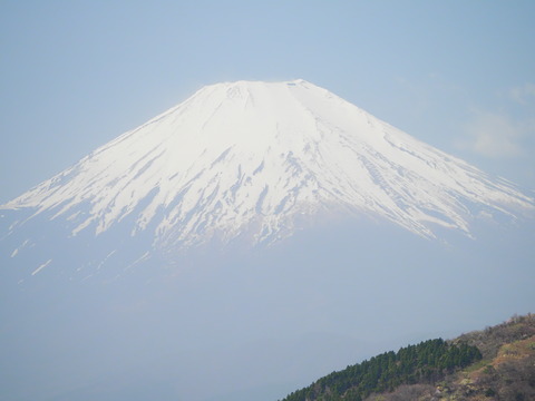 素敵な富士山