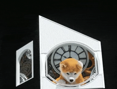 巨大秋田犬