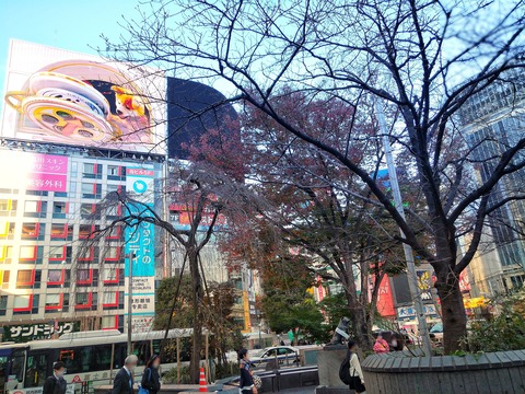 渋谷