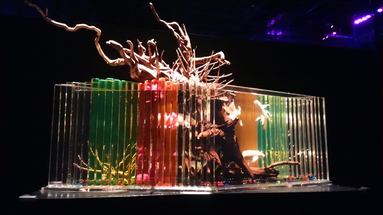 アートアクアリウム 広島 に行ってきました Sweet Blue Child