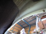 CA396501