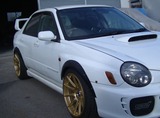 PIC_0059g