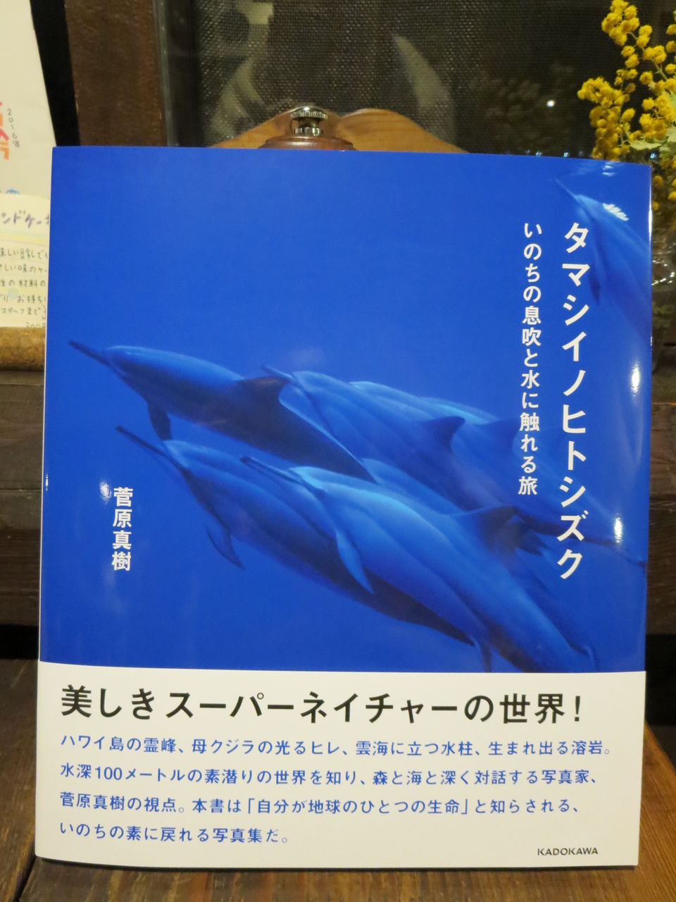 タマシイノヒトシズク イヌイット日記