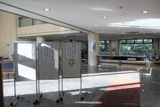 IMG_5533