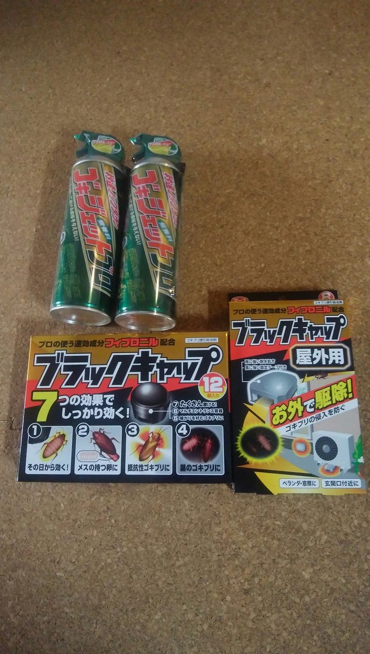 ベランダの赤い小さい虫のタカラダニの私の退治方法 若干観覧注意 まんてんブログ