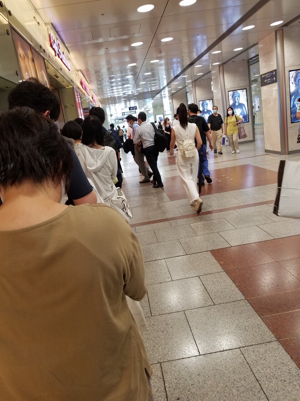 カフエ シャンティーヌ ぴよりん Jr名古屋駅 名古屋ぶらもぐ Com カフエ シャンティーヌ ぴよりん Jr名古屋駅 名古屋ぶらもぐ Com