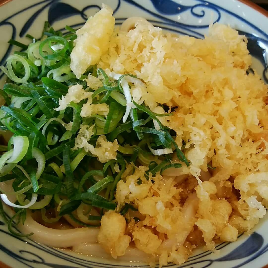 丸亀製麺 松葉公園店 やっぱり冷やしぶかっけはのどごしが最強です 名古屋ぶらもぐ Com 丸亀製麺 松葉公園店 やっぱり冷やしぶかっけはのどごしが最強です 名古屋ぶらもぐ Com