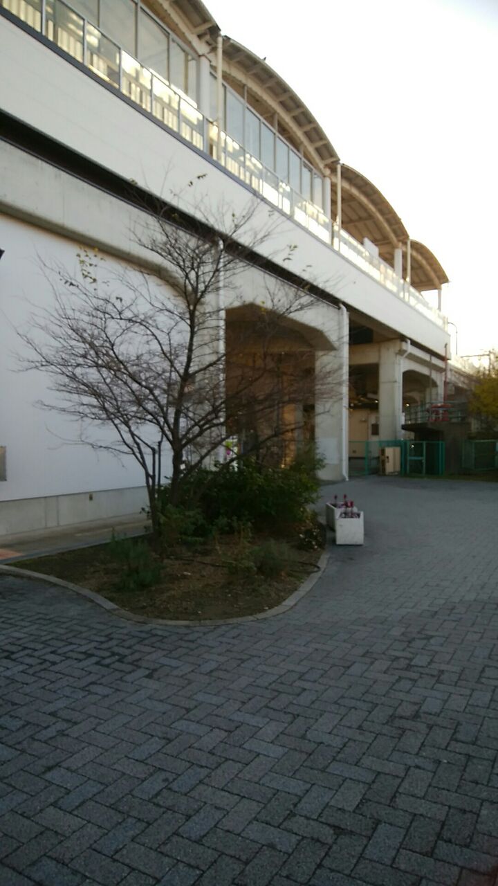 あおなみ線 荒子川公園駅からtohoシネマズ 名古屋ベイシティ 名古屋市中川区情報2